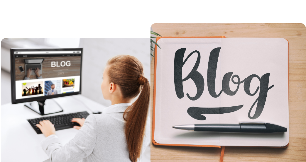 cakephp web development